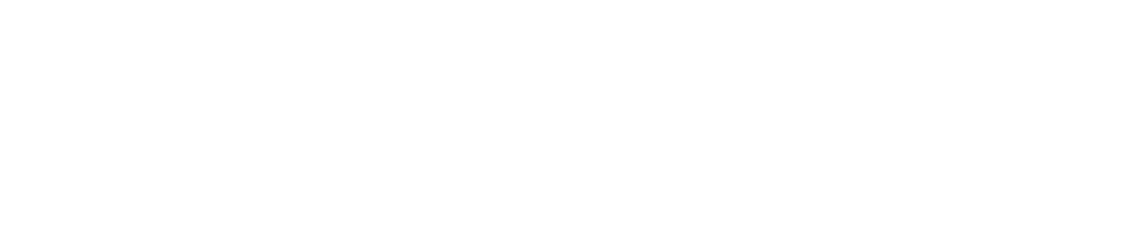 Playtech Gaming Partner