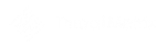 ThreatMetrix Security
